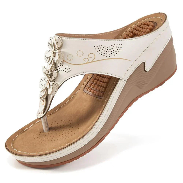 Calanthe | Women&