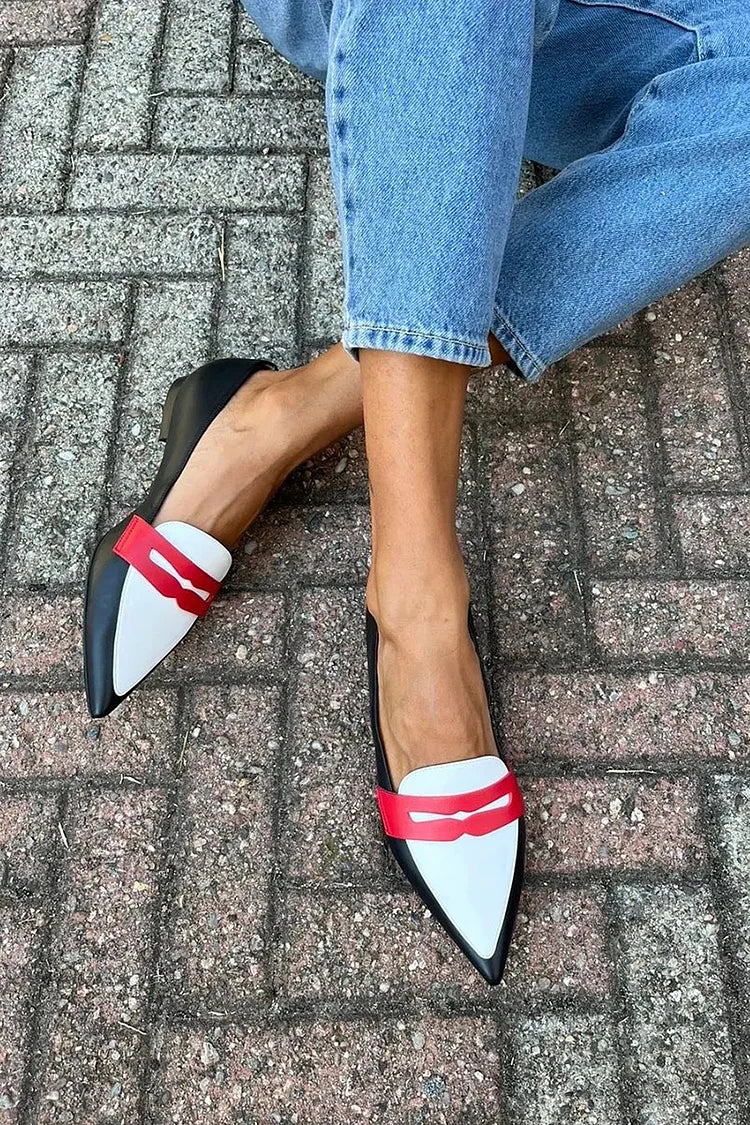 Lyralei | Women's Pointed Toe Colour Block Flats - Image 1
