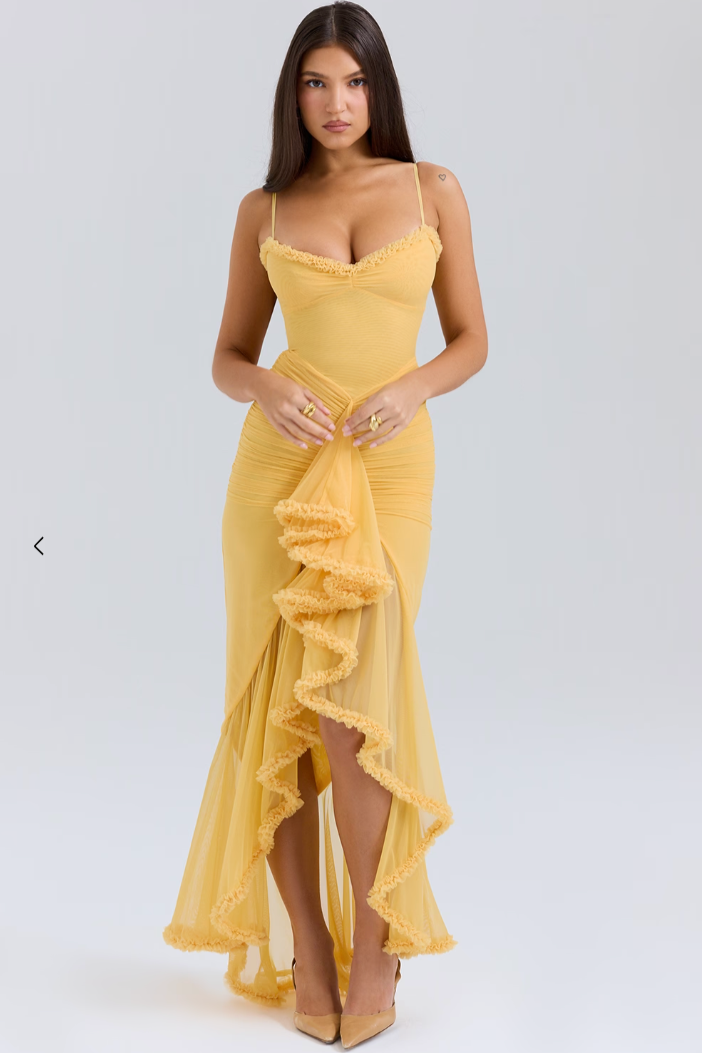 Theodosie | Women's Asymmetric Ruffle Maxi Dress - Image 1