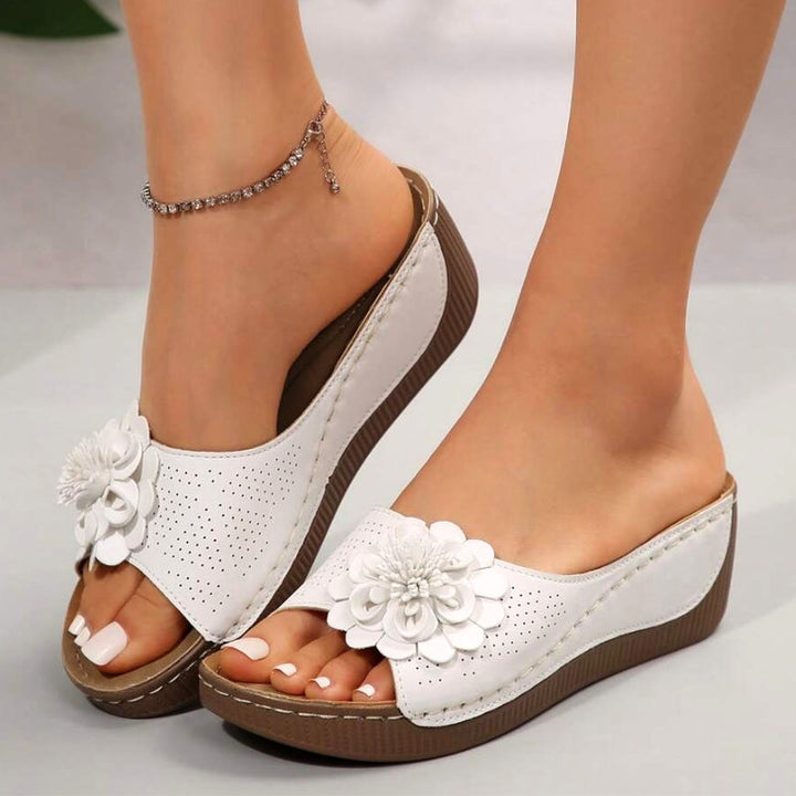 Zinnia | Women&